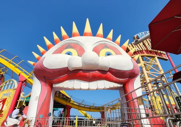 Входной билет в Ocean Park: мир животных, аттракционы и шоу - фото 2