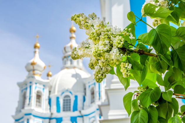 Фото экскурсии - Подцерковье Смольного собора - 3