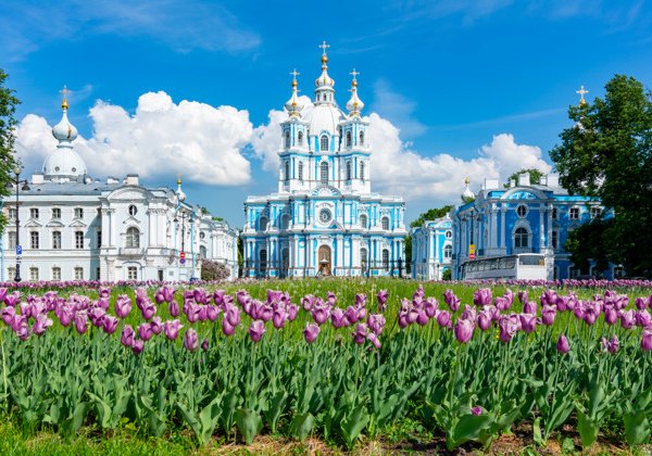 Подцерковье Смольного собора