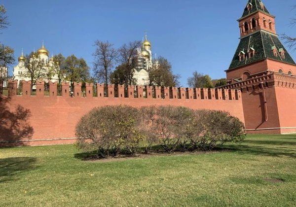 Москва Ивана Грозного — «Где жил слон царя?» - фото 1