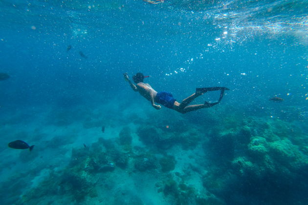 Фото экскурсии - Снорклинг со скатами на острове Нуса Пенида - 8