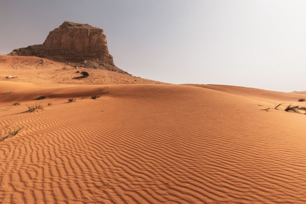 Фото экскурсии - Квадроциклы Grizzly 350 CC в пустыне Сахара: экскурсия по Шардже - 11