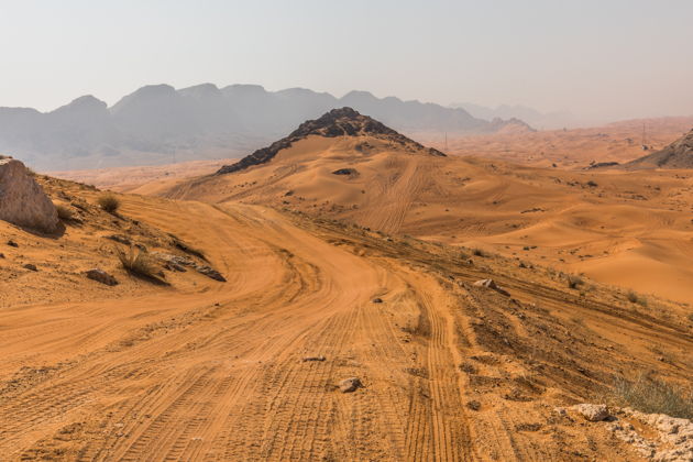 Фото экскурсии - Квадроциклы Grizzly 350 CC в пустыне Сахара: экскурсия по Шардже - 13