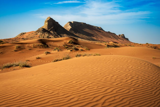 Фото экскурсии - Квадроциклы Grizzly 350 CC в пустыне Сахара: экскурсия по Шардже - 9