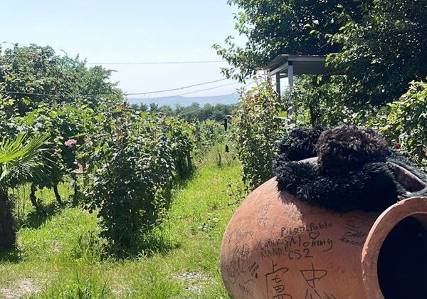 В гости к Чавчавадзе: Посещение усадьбы и гастрономия по дороге - фото 4