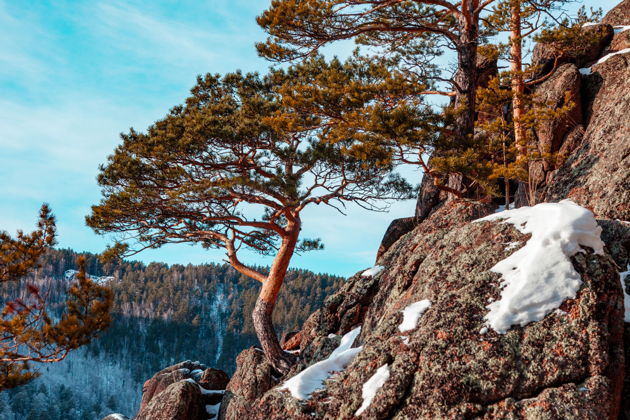 Фото экскурсии - Зимний поход к столбам — магия Сибири вместе с гидом - 2