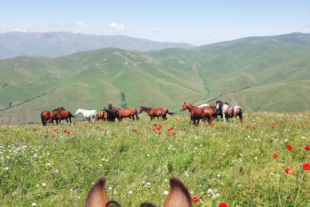 Фото - экскурсия: Севан и Севанаванк: путешествие у жемчужины Армении с конной прогулкой