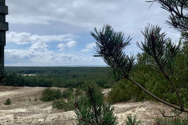 Фото экскурсии - Танцующий лес и золотые дюны Куршской косы: волшебство природы - 7