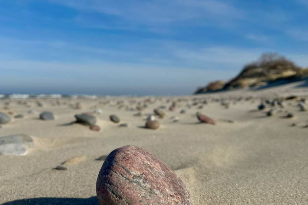 Фото экскурсии - Танцующий лес и золотые дюны Куршской косы: волшебство природы - 12