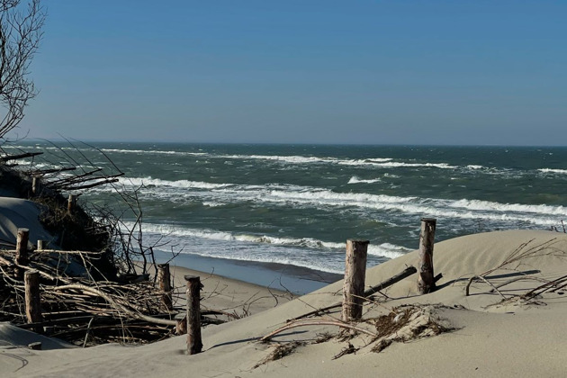 Фото - экскурсия: Танцующий лес и золотые дюны Куршской косы: волшебство природы