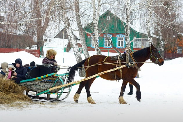Фото экскурсии - Встречаем Новый год в Константиново - 6