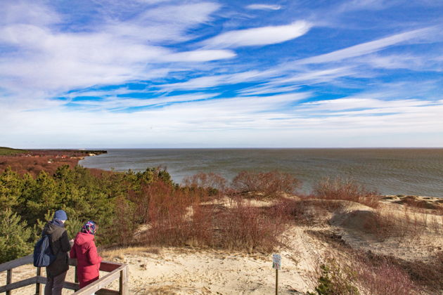 Фото экскурсии - Экскурсия на Куршскую косу из Светлогорска - 4