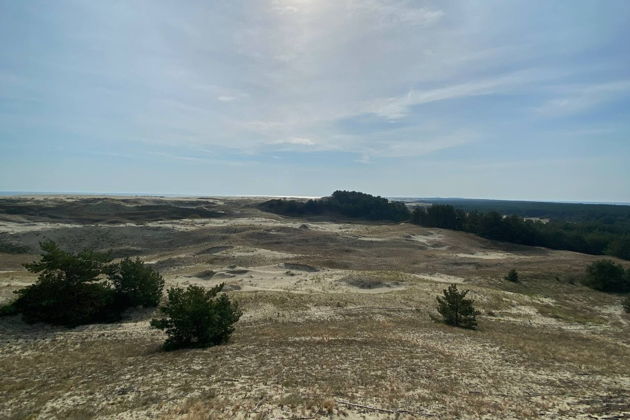 Фото экскурсии - Экскурсия на Куршскую косу и в замок Нойхаузен или Шаакен Дорф из Светлогорска - 10