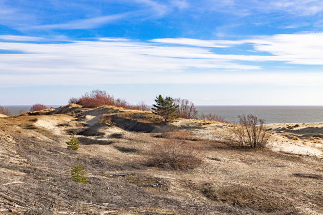 Фото экскурсии - Экскурсия на Куршскую косу и в замок Нойхаузен или Шаакен Дорф из Светлогорска - 11