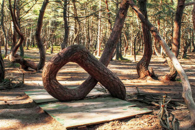 Фото экскурсии - Экскурсия на Куршскую косу и в замок Нойхаузен или Шаакен Дорф из Светлогорска - 13