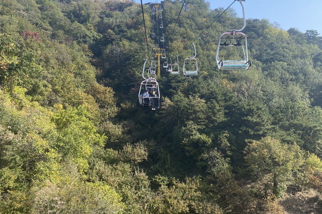 Фото экскурсии - Великая китайская стена, чайная церемония, парк цзиньшан и китайский цирк - 5