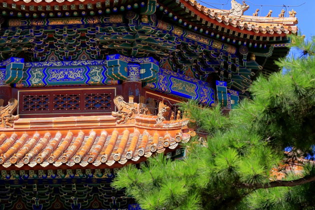 Фото экскурсии - Великая китайская стена, чайная церемония, парк цзиньшан и китайский цирк - 6