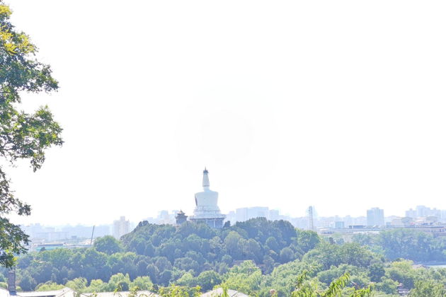 Фото экскурсии - Великая китайская стена, чайная церемония, парк цзиньшан и китайский цирк - 7