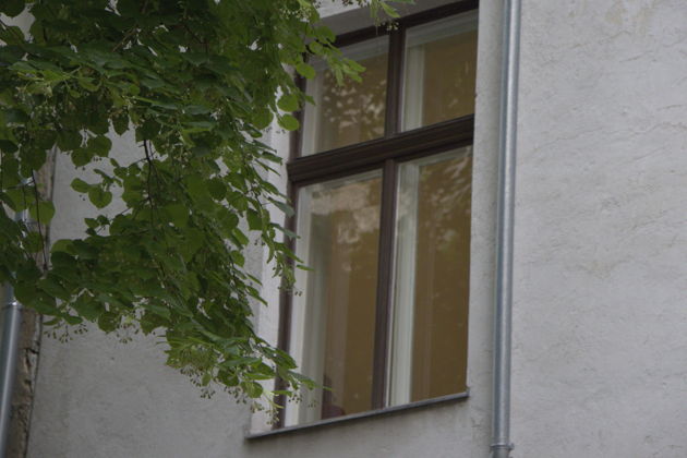 Фото экскурсии - Экскурсия в Музей Зигмунда Фрейда - 1