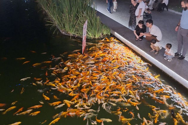 Фото экскурсии - «Ташкент: От истоков до огней»: обзорная дневная + вечерняя экскурсии - 5