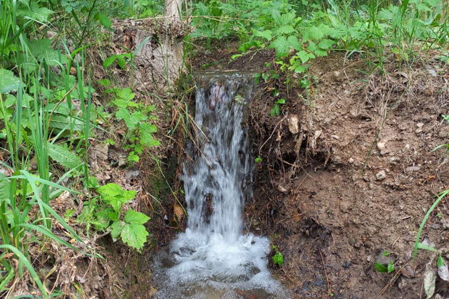 Фото экскурсии - «Фата Невесты и сердце гор»: горы, водопад и Чарвак - 5