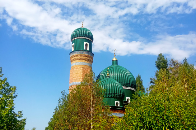 Фото - экскурсия: Экскурсия 3 в 1: Институт Солнца, Мечеть Хазрат Али Бува и Узумферма