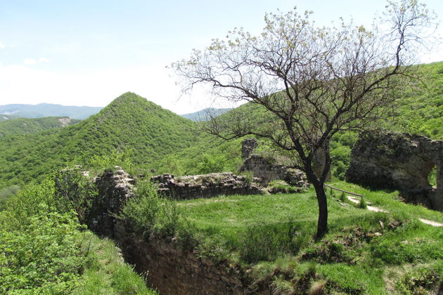 Фото экскурсии - Волшебный лес Сабадури и Тианети - настоящая сказка в Грузии - 6