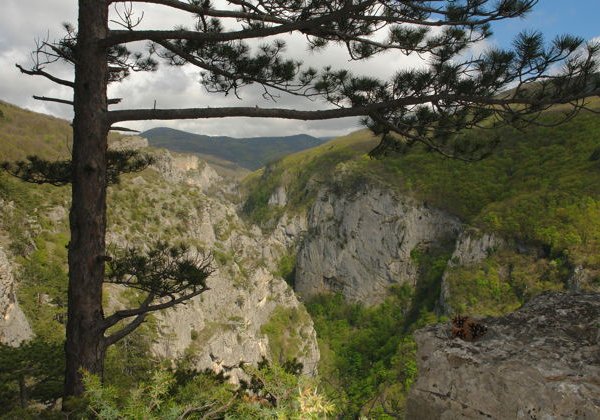В Большой каньон Крыма - фото 2