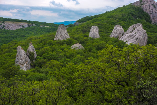 Фото экскурсии - Невероятный вид с вершины Ильяс-Кая в Крыму - 6