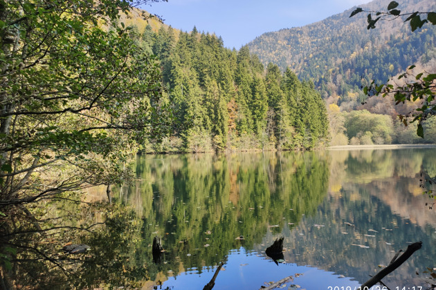 Фото - экскурсия: Загадки ущелья Дзама