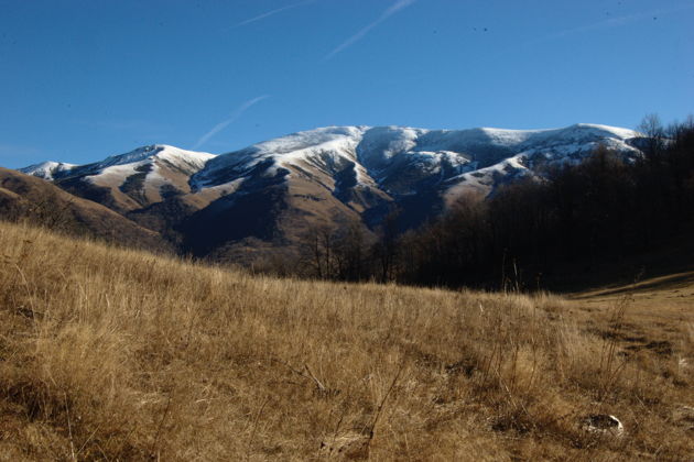 Фото экскурсии - Погружение в мир дикой природы заповедника - 2