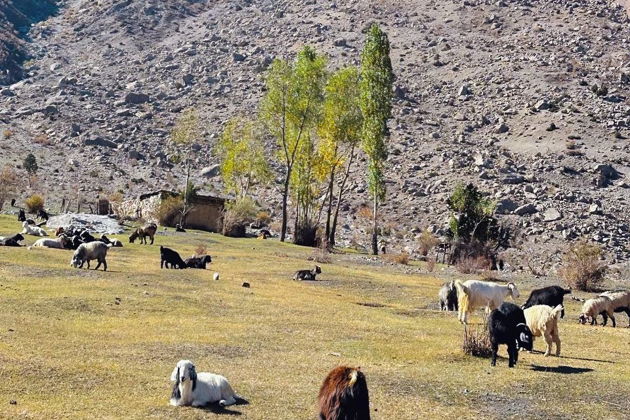 Фото экскурсии - Из Самарканда — к Фанским горам и Семи озёрам в Таджикистане - 2