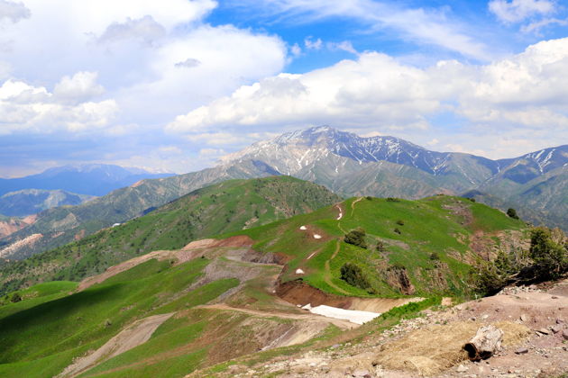 Фото экскурсии - Индивидуальный тур по горам и водопадам Чимгана - 7