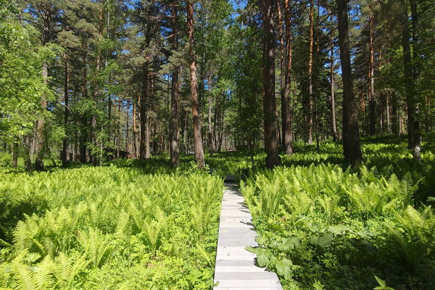 Фото экскурсии - Трансфер и экскурсия: с первых дней окунитесь в великолепие Горного Алтая - 6