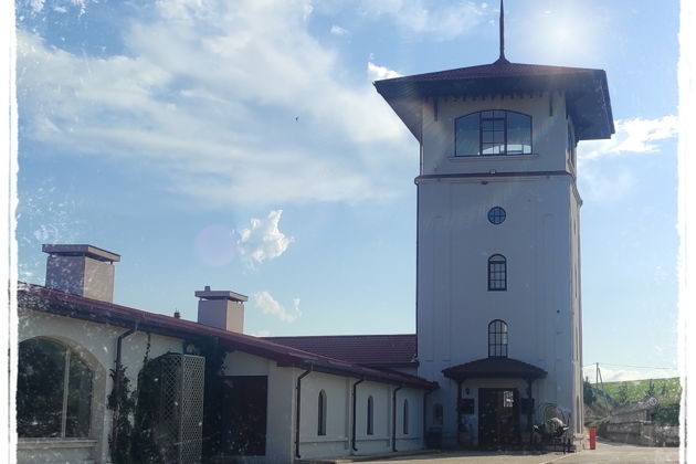 Фото экскурсии - Винный тур по Краснодарскому краю: янтарные гроздья кубанских виноделен - 7