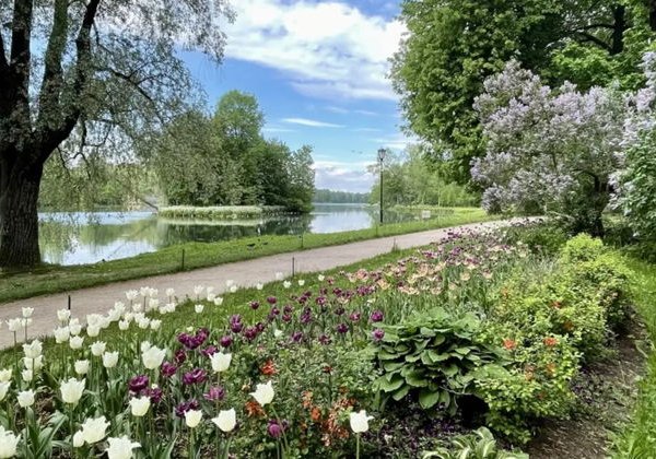 Гатчинский дворец в мини-группе - фото 2