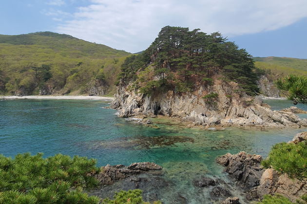 Фото экскурсии - Морской заповедник Гамова: бирюзовые воды и редкие японские сосны - 5