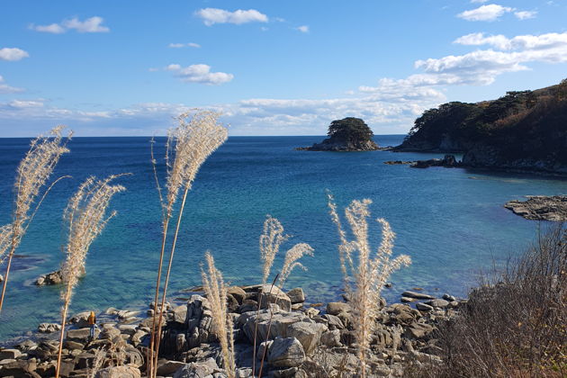 Фото экскурсии - Морской заповедник Гамова: бирюзовые воды и редкие японские сосны - 6