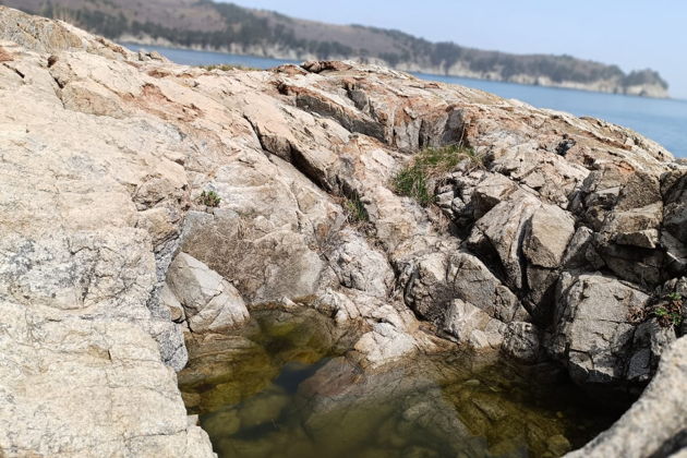 Фото экскурсии - Морской заповедник Гамова: бирюзовые воды и редкие японские сосны - 12