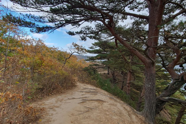 Фото экскурсии - Морской заповедник Гамова: бирюзовые воды и редкие японские сосны - 13