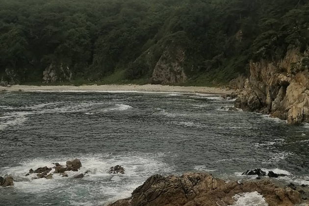 Фото экскурсии - Морской заповедник Гамова: бирюзовые воды и редкие японские сосны - 15