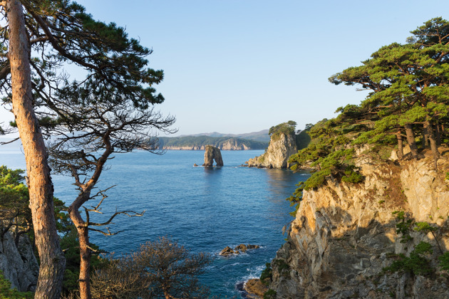 Фото - экскурсия: Морской заповедник Гамова: бирюзовые воды и редкие японские сосны