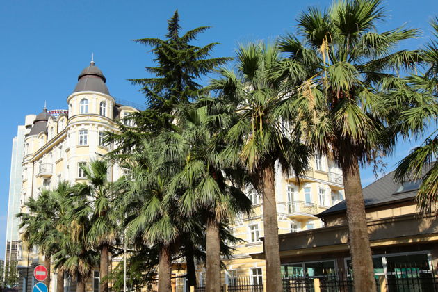 Фото экскурсии - Увлекательное повествование и прелесть живописных мест Сочи - 2