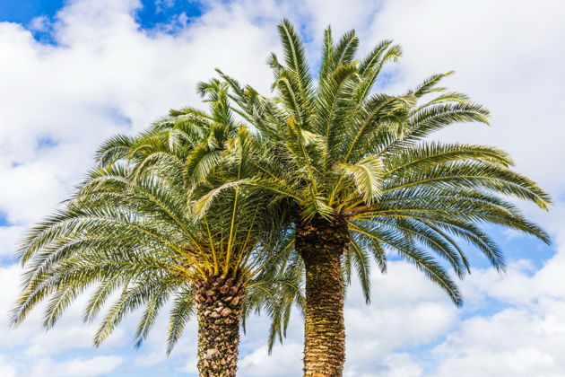 Фото экскурсии - Увлекательное повествование и прелесть живописных мест Сочи - 5