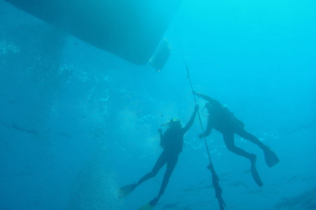 Фото экскурсии - Погружение для новичков в бассейне Deep Dive с рекордной глубиной - 5