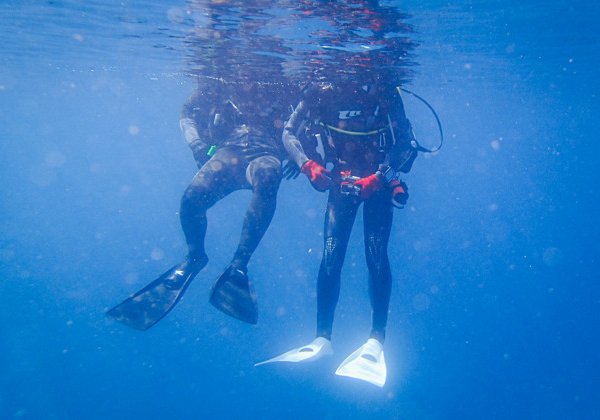Дайвинг для начинающих в самом глубоком бассейне Deep Dive