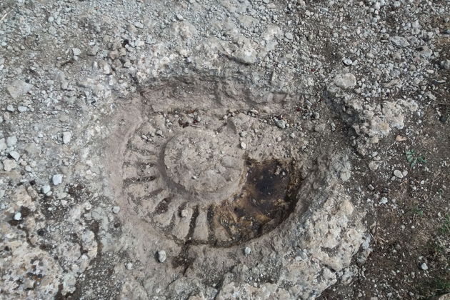 Фото экскурсии - Увлекательная экскурсия по природному парку Эль Торкаль - 5