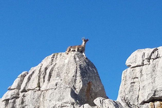 Фото экскурсии - Увлекательная экскурсия по природному парку Эль Торкаль - 7