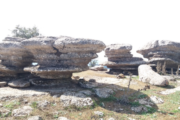 Фото - экскурсия: Увлекательная экскурсия по природному парку Эль Торкаль