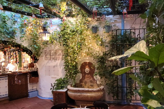 Фото экскурсии - Винодельня с дегустацией вин и хамона - 5